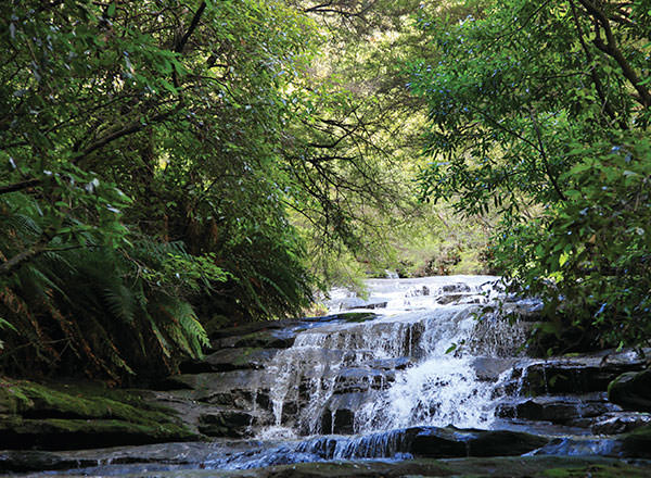 Waterfalls in the Blue Mountains on a private tour