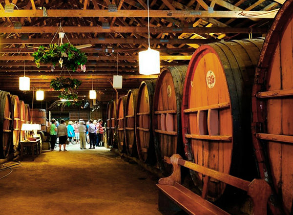 Image of wine making masterclass with old wooden wine barrels on your Hunter Valley Private Tour