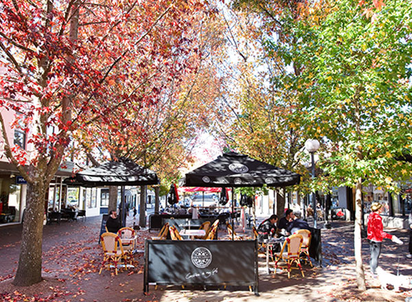 An image of Bowral on your way south of Sydney as seen on your Southern Highlands tour