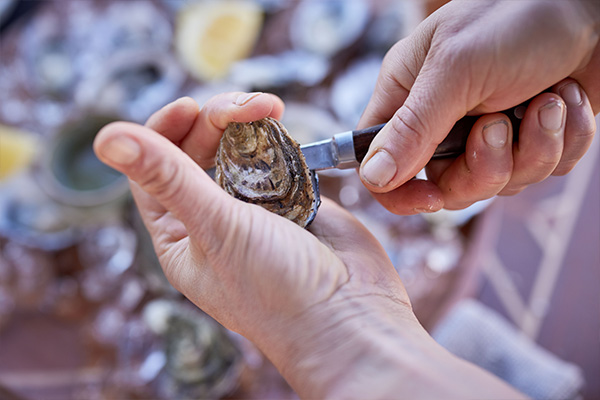 Sydney rock oyster being freshly shucked to eat
