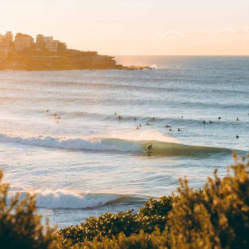 Surfers at Bondi Beach