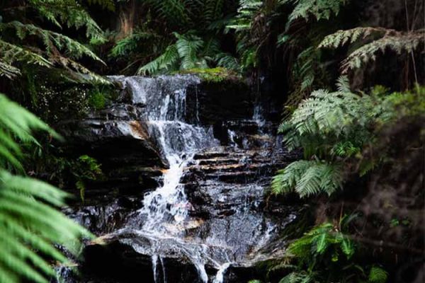 A waterfall in heritage-listed Blue Mountains National Park