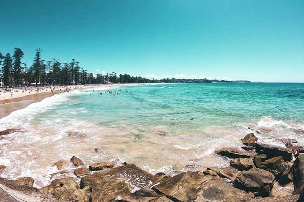 Manly Beach panorama