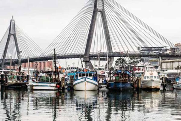 Harbour view of the fishing boats moored at then Sydney Fish Markets