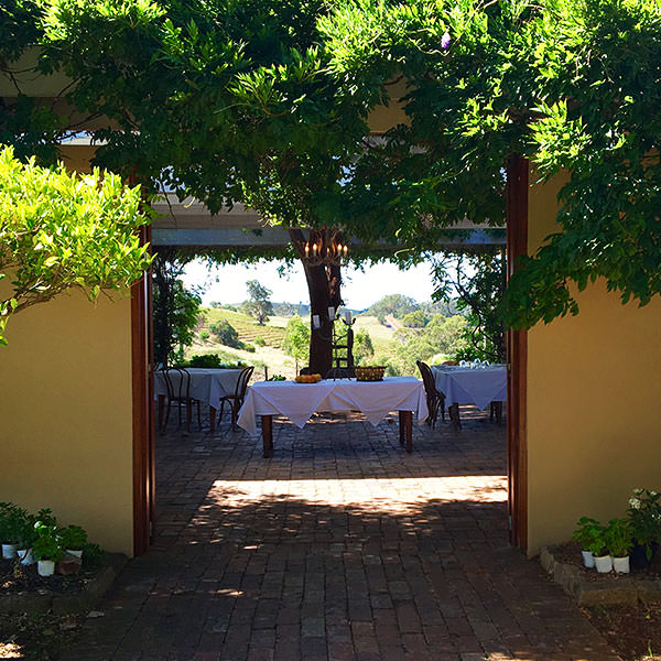 An image of Bistro Molines having lunch in the Hunter Valley
